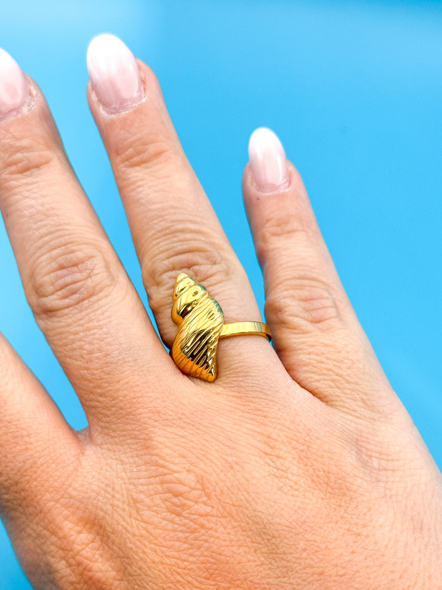 ANELLO SALSEDINE