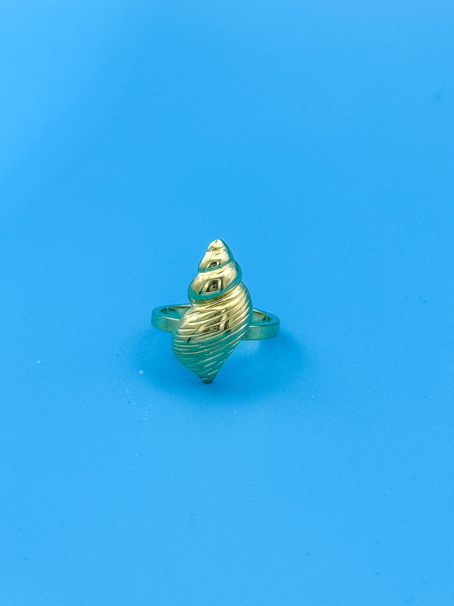 ANELLO SALSEDINE