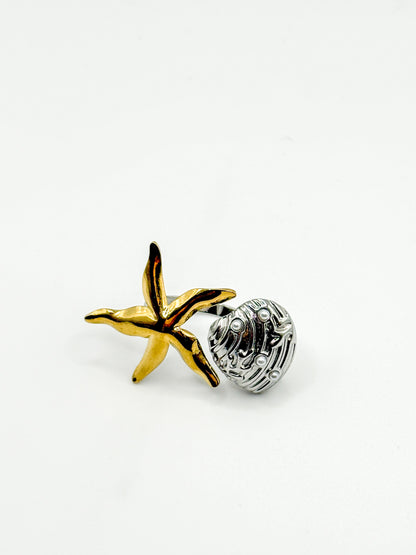 ANELLO OCEANIA
