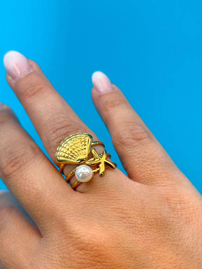 ANELLO REEF
