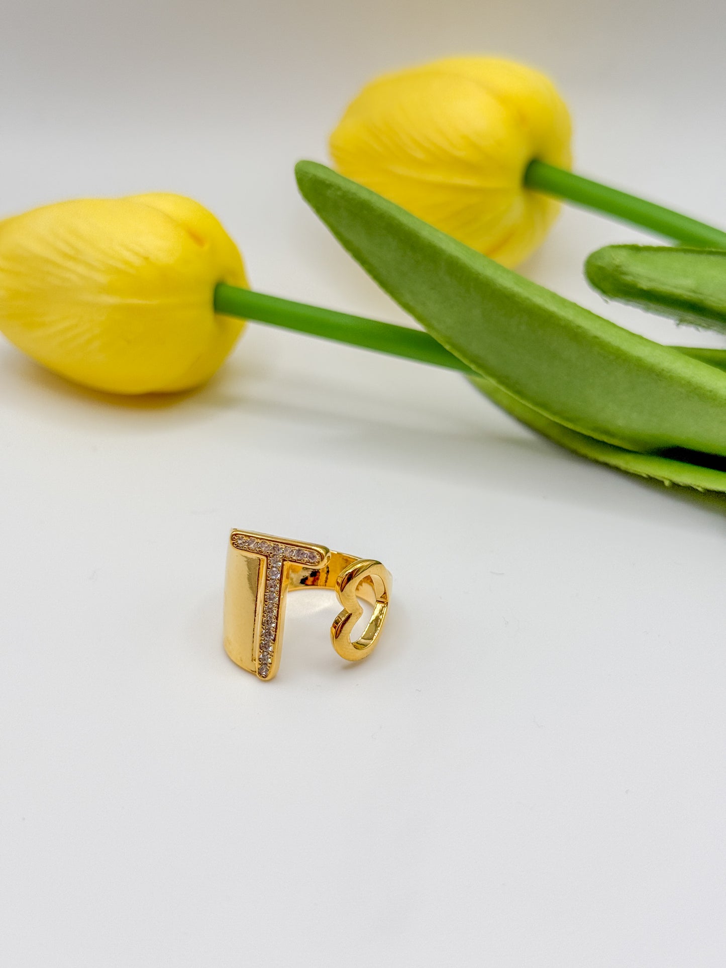ANELLO INIZIALE