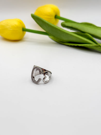 ANELLO INIZIALE