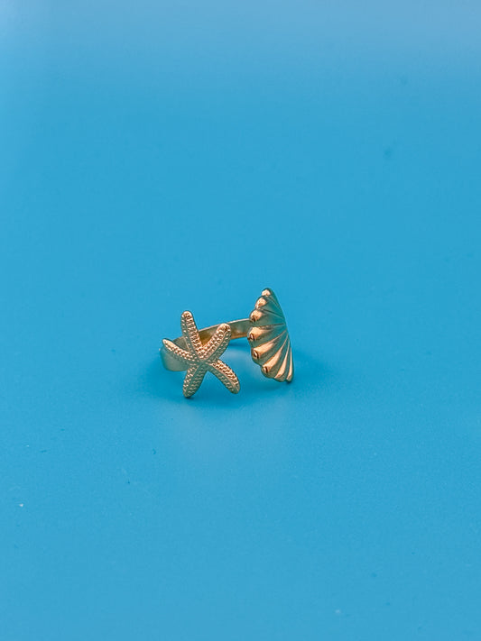 ANELLO MAREA