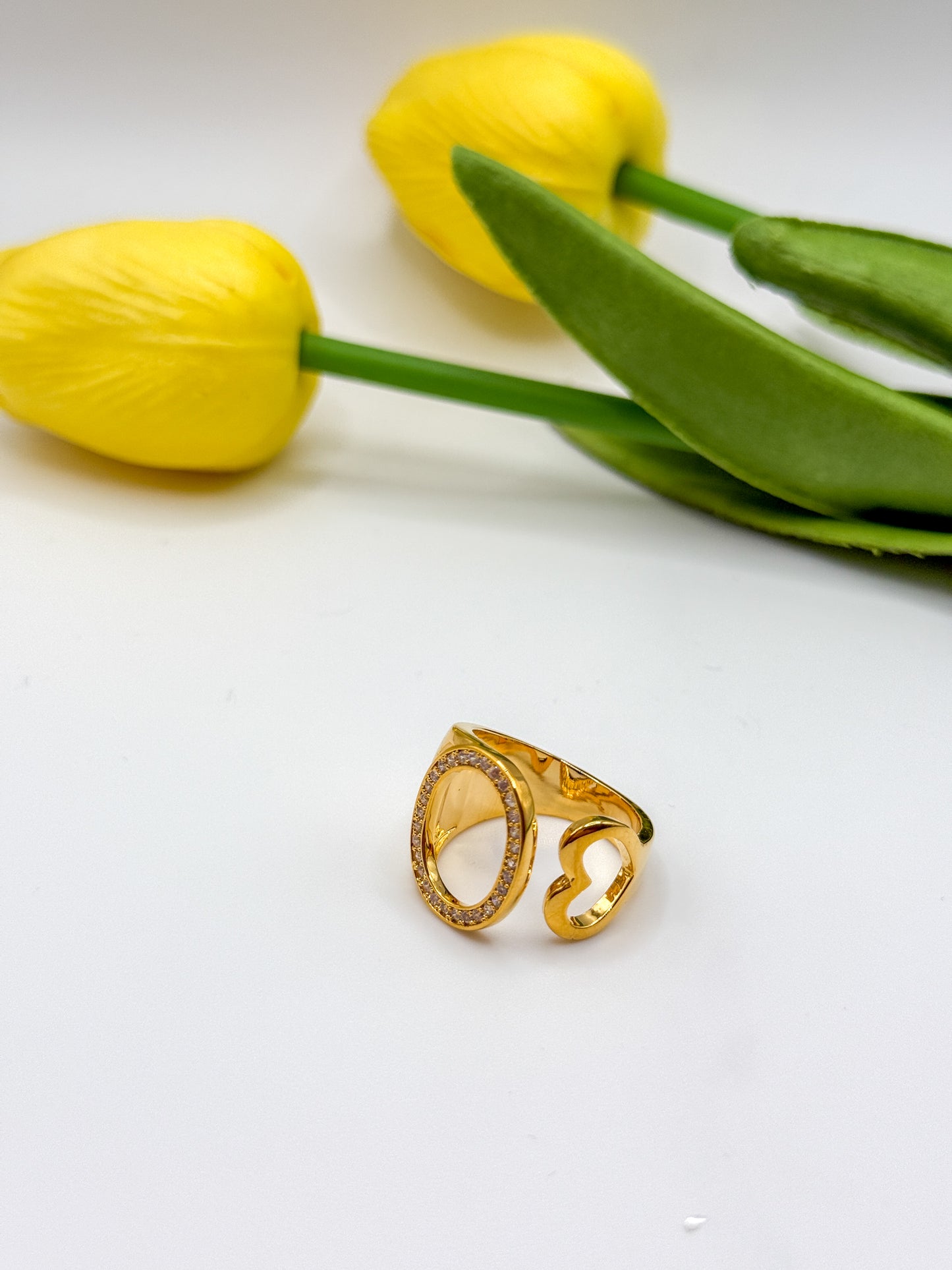ANELLO INIZIALE