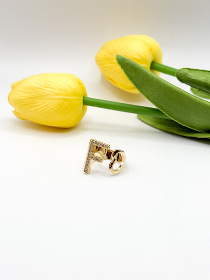 ANELLO INIZIALE