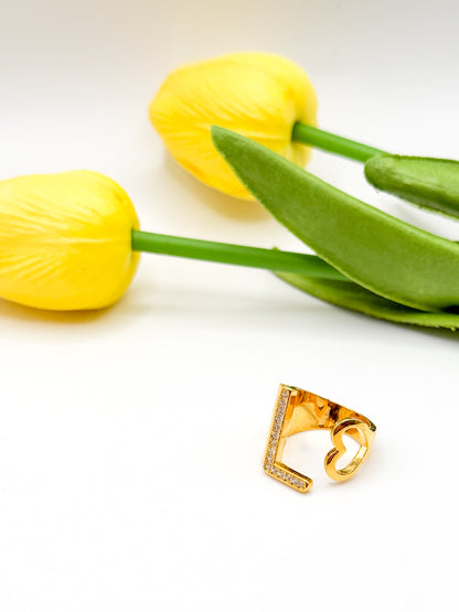 ANELLO INIZIALE