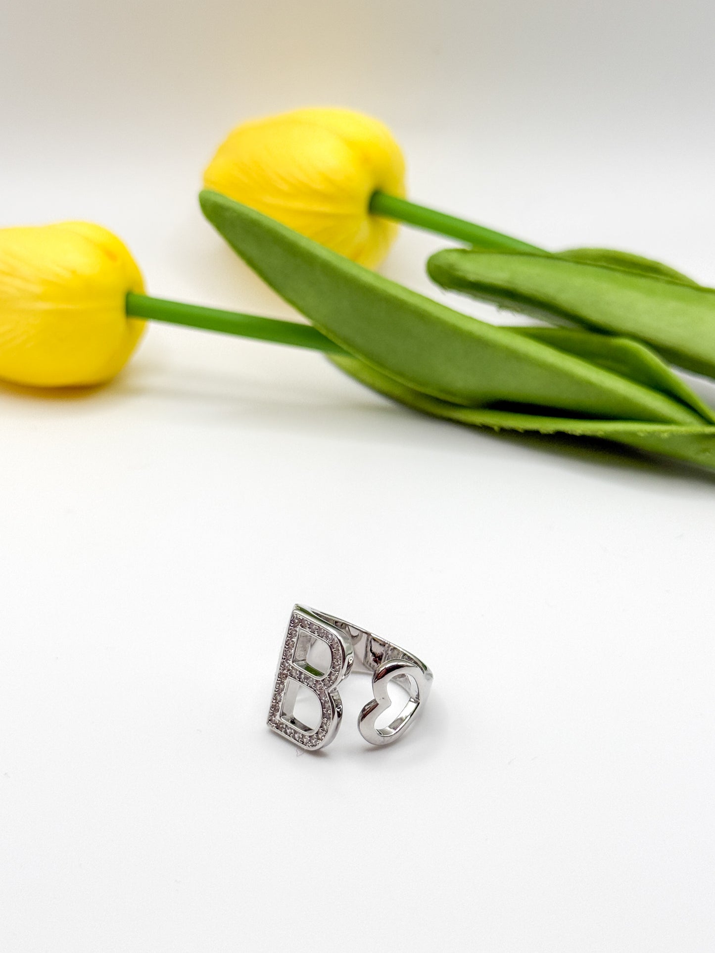 ANELLO INIZIALE