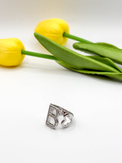 ANELLO INIZIALE