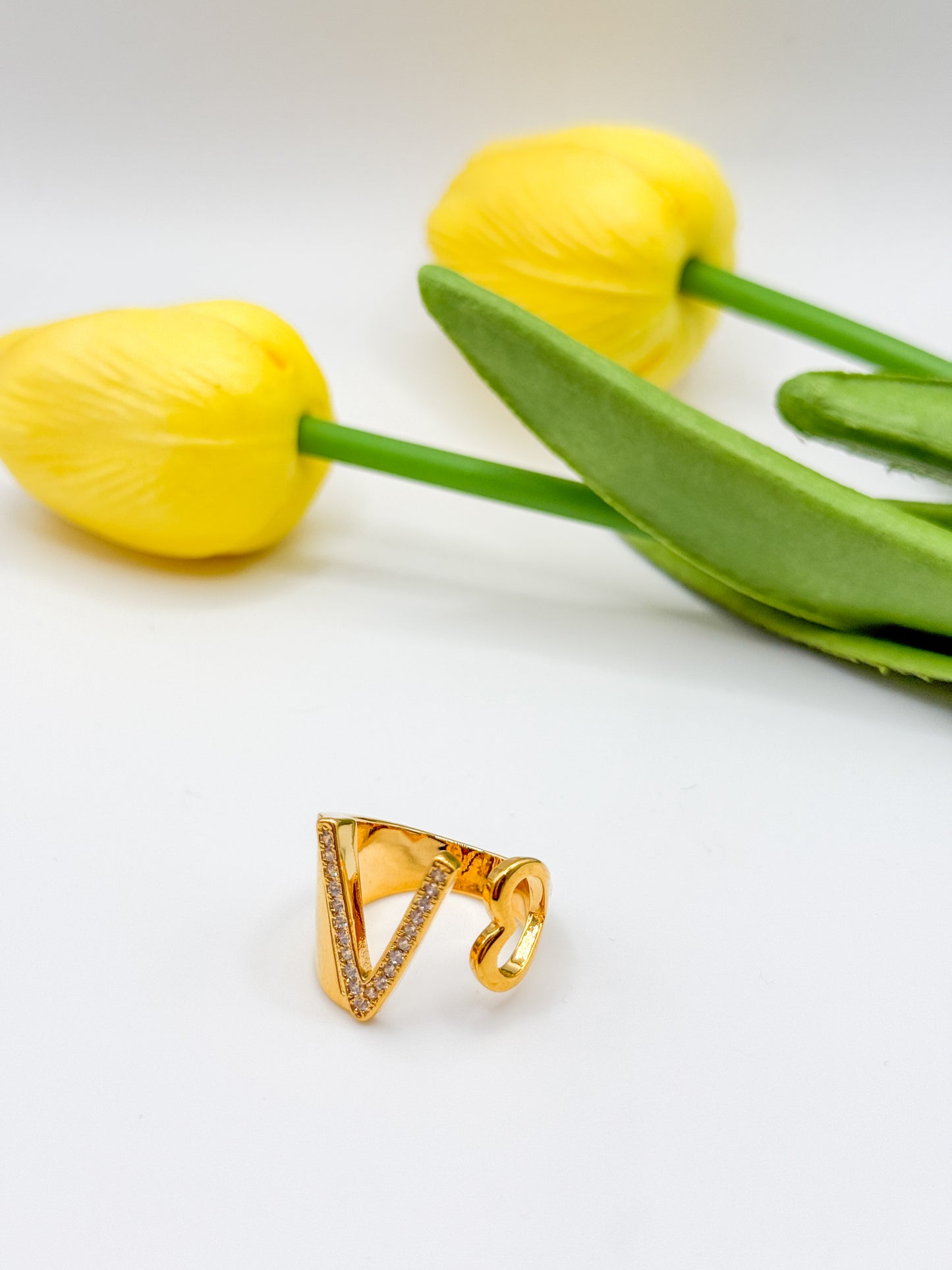ANELLO INIZIALE