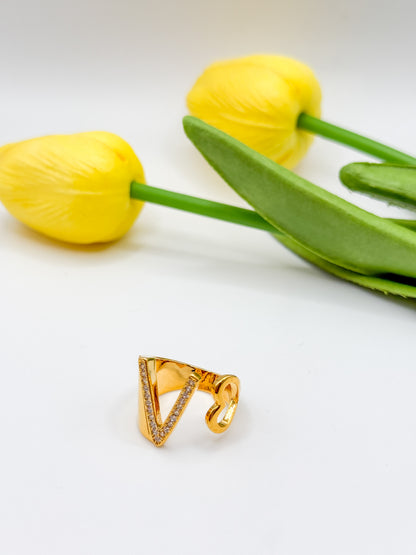 ANELLO INIZIALE
