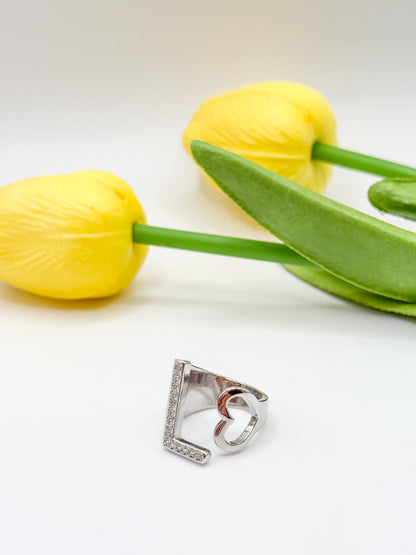 ANELLO INIZIALE