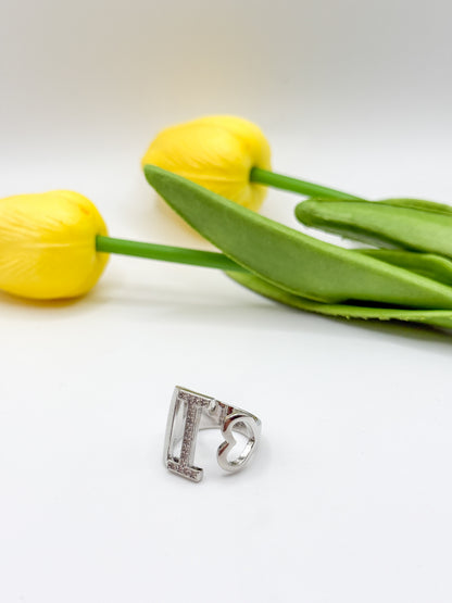 ANELLO INIZIALE