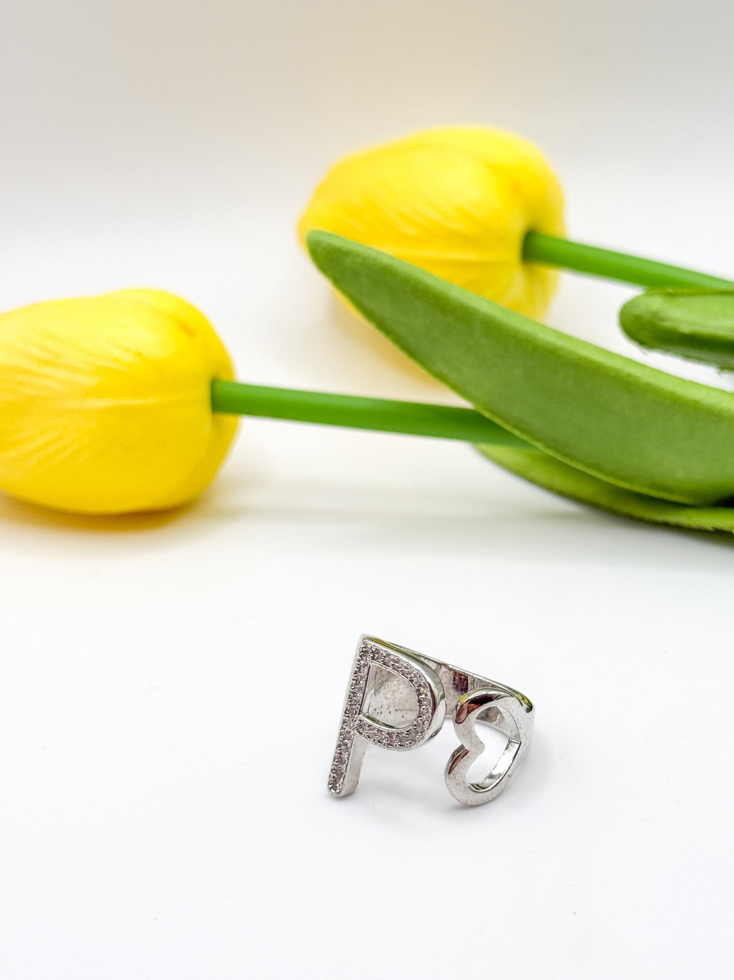 ANELLO INIZIALE