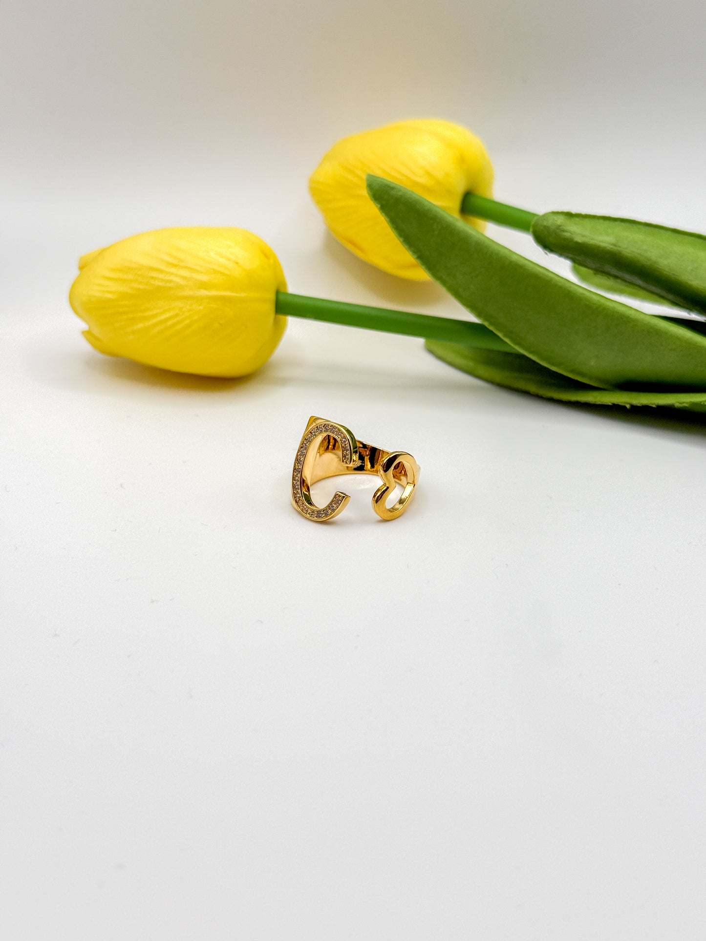 ANELLO INIZIALE