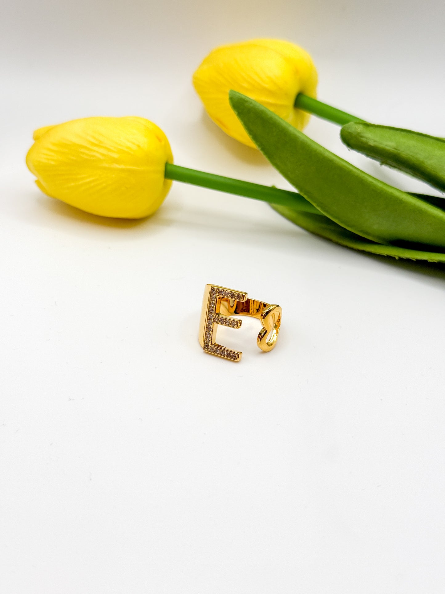 ANELLO INIZIALE