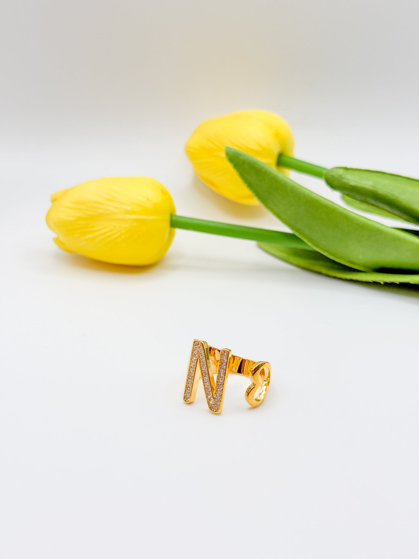 ANELLO INIZIALE