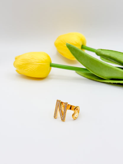 ANELLO INIZIALE