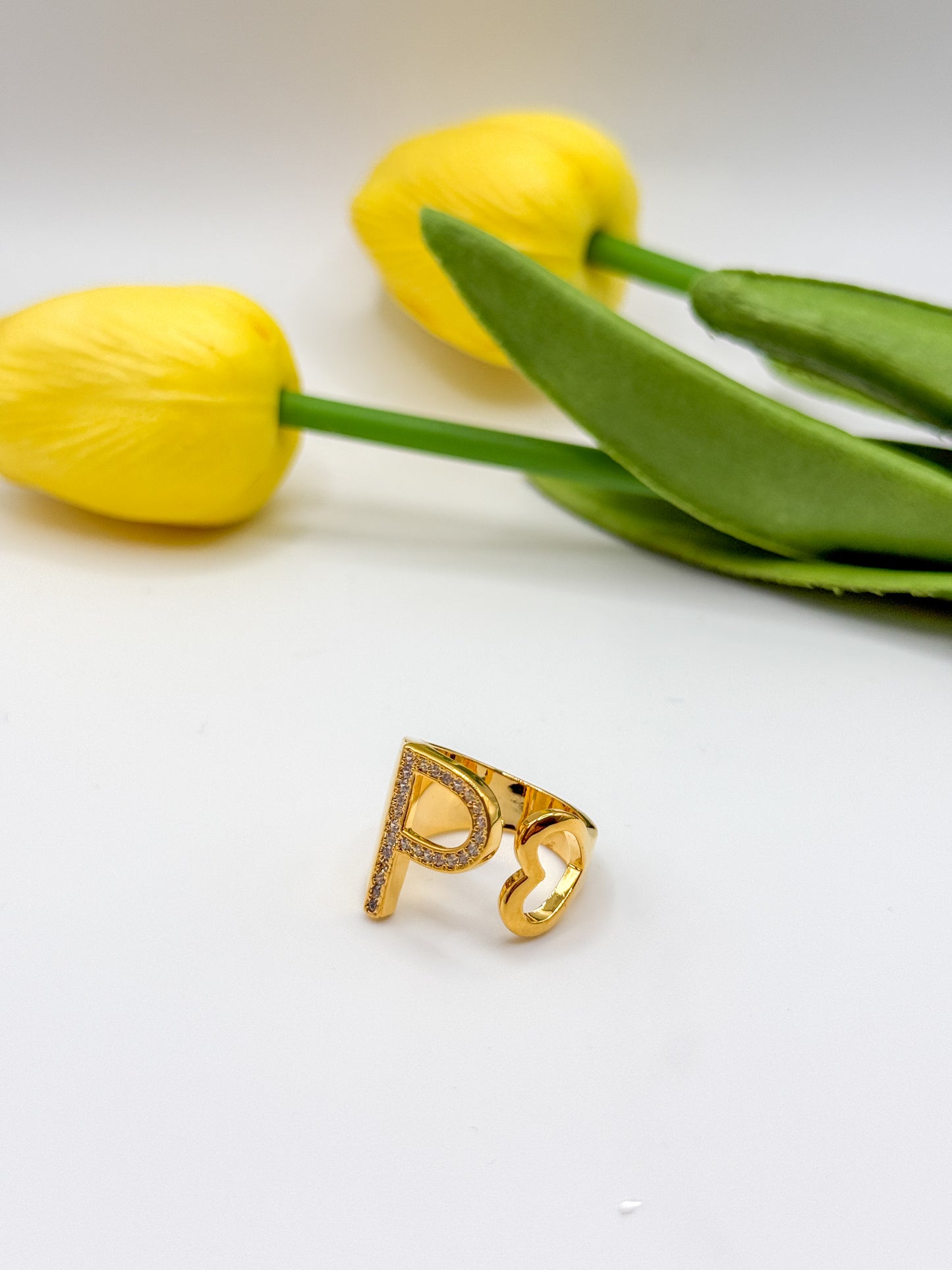 ANELLO INIZIALE