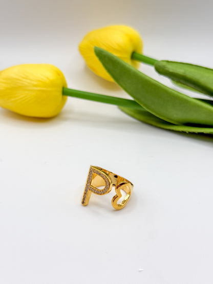 ANELLO INIZIALE