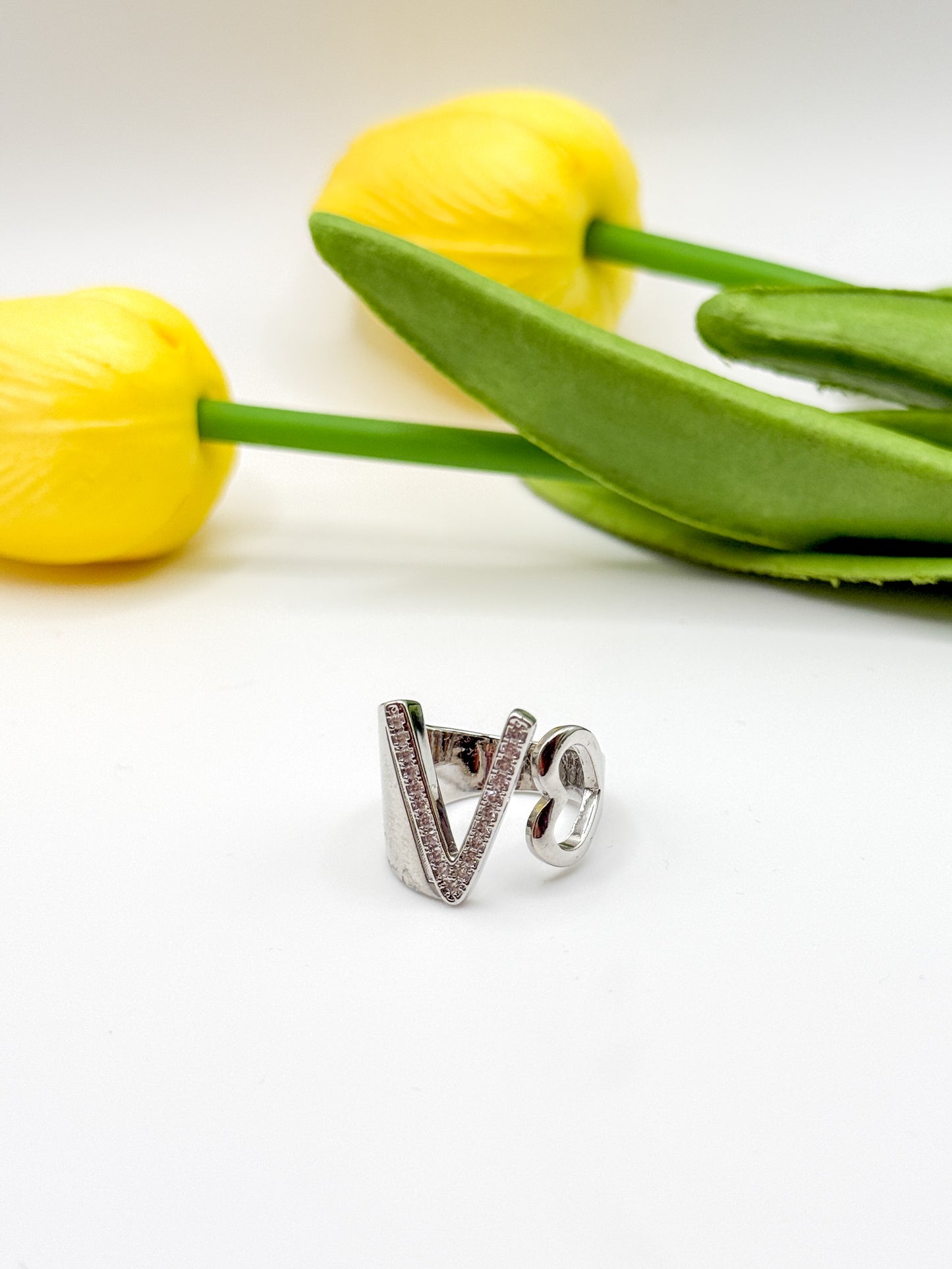 ANELLO INIZIALE