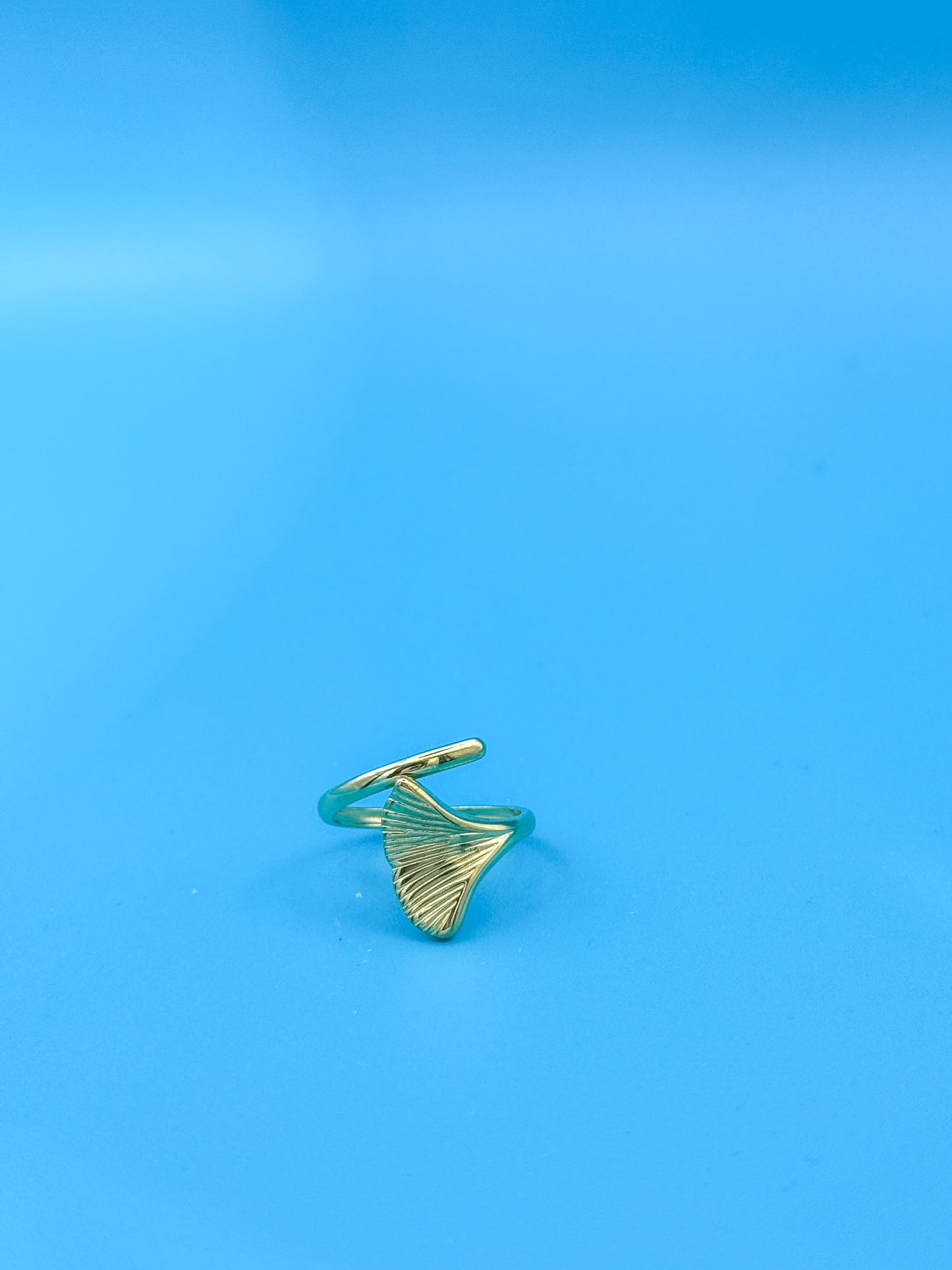 ANELLO ONDA
