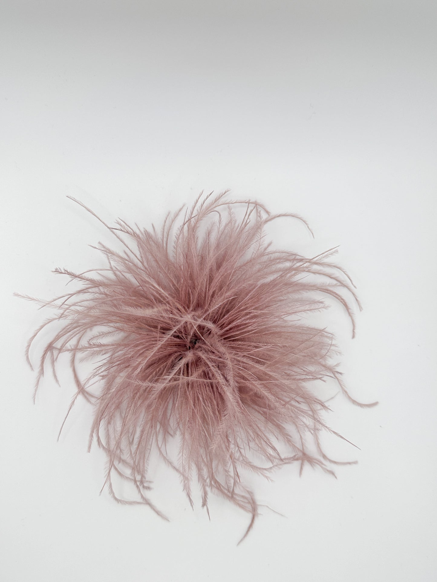 SPILLA PIUME beige