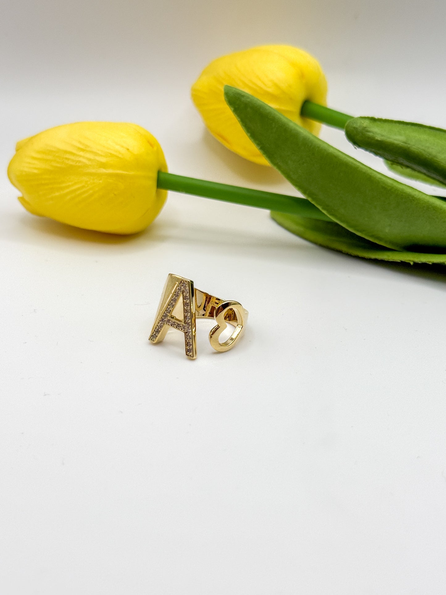 ANELLO INIZIALE