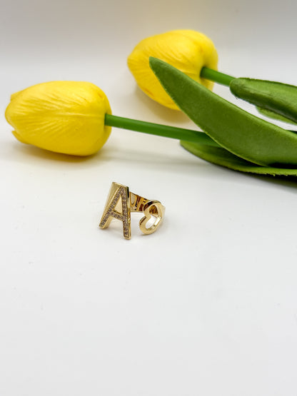 ANELLO INIZIALE