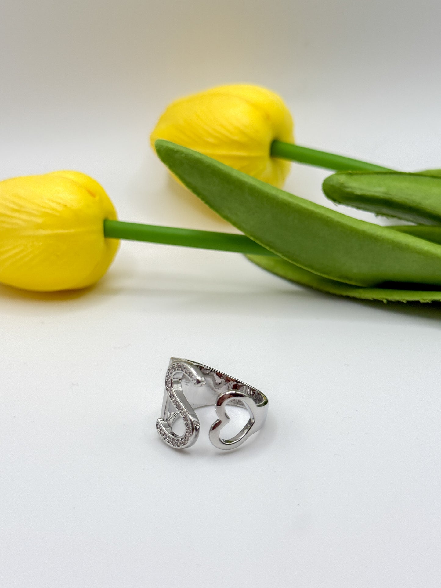 ANELLO INIZIALE