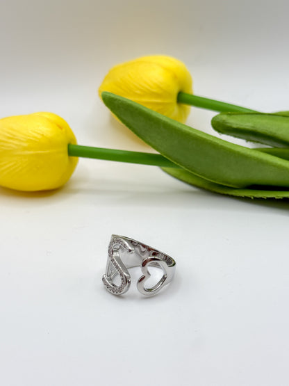 ANELLO INIZIALE
