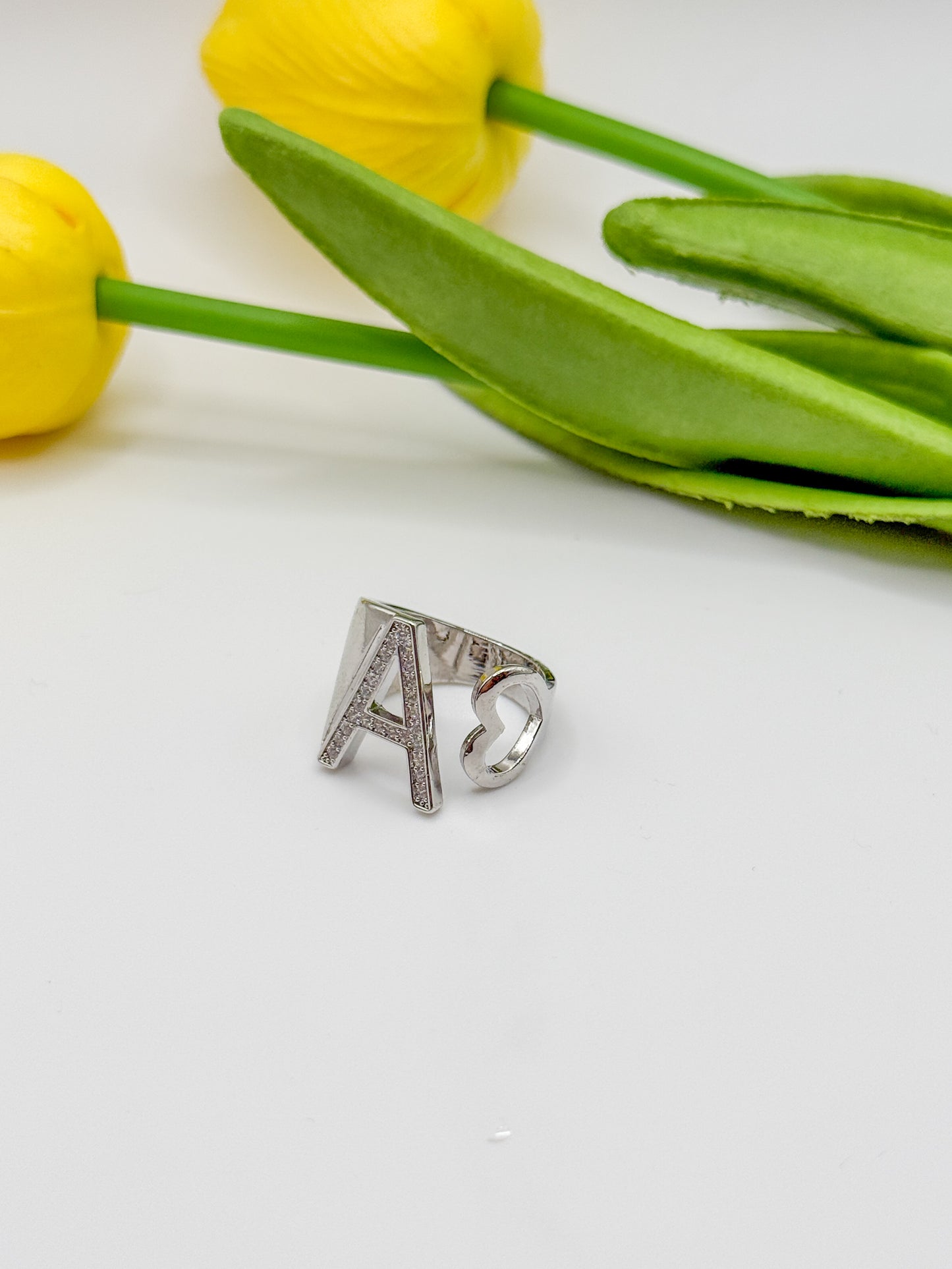 ANELLO INIZIALE