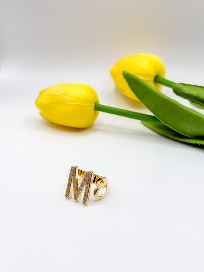 ANELLO INIZIALE