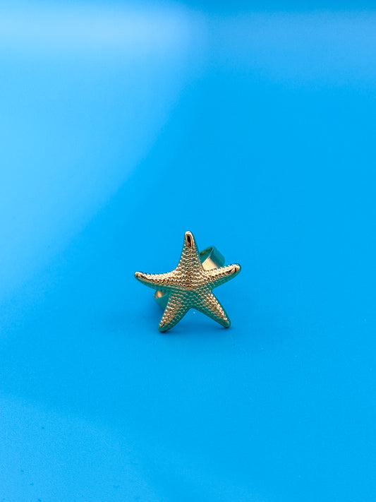 ANELLO MARINA