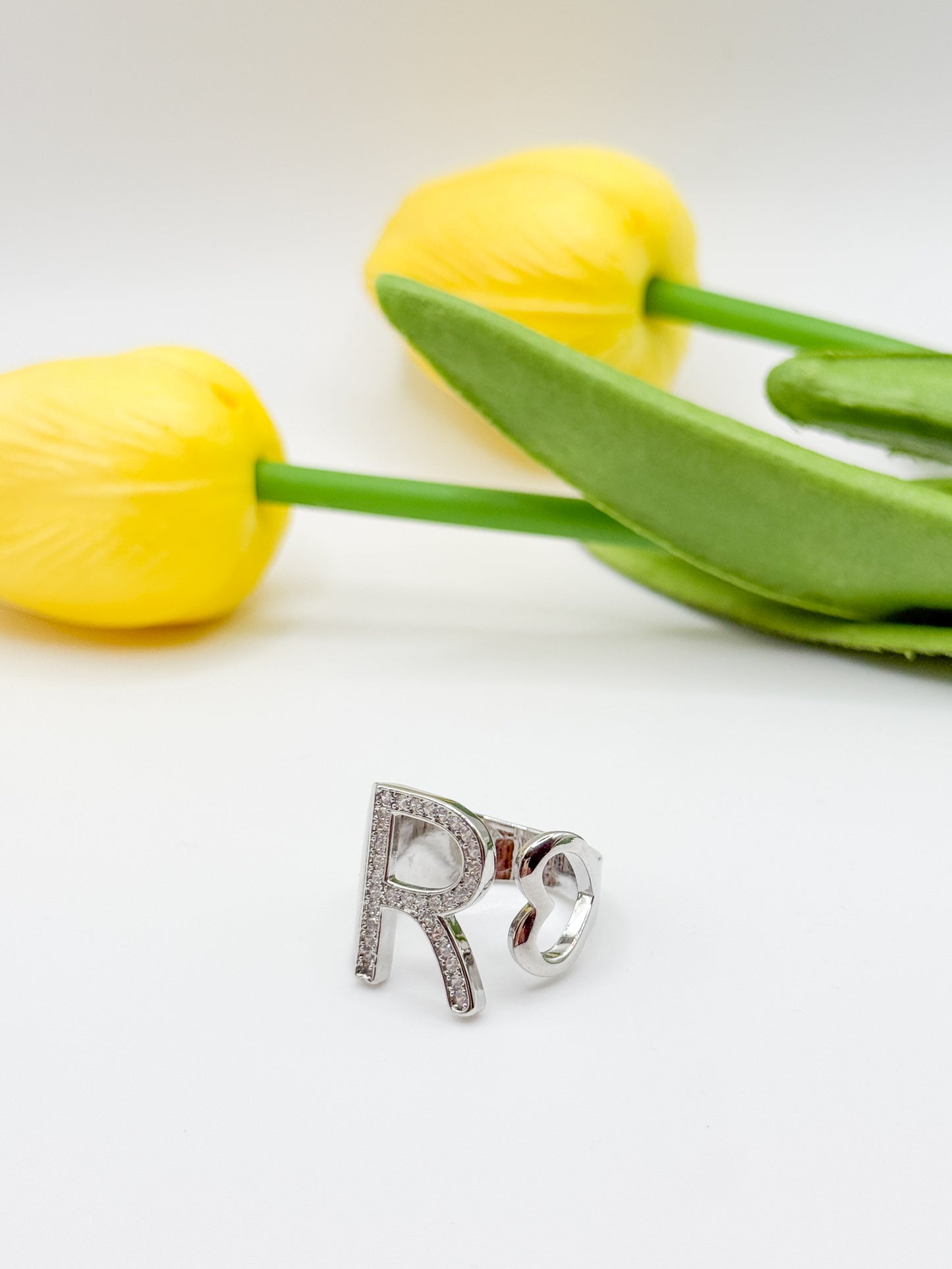 ANELLO INIZIALE