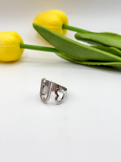 ANELLO INIZIALE