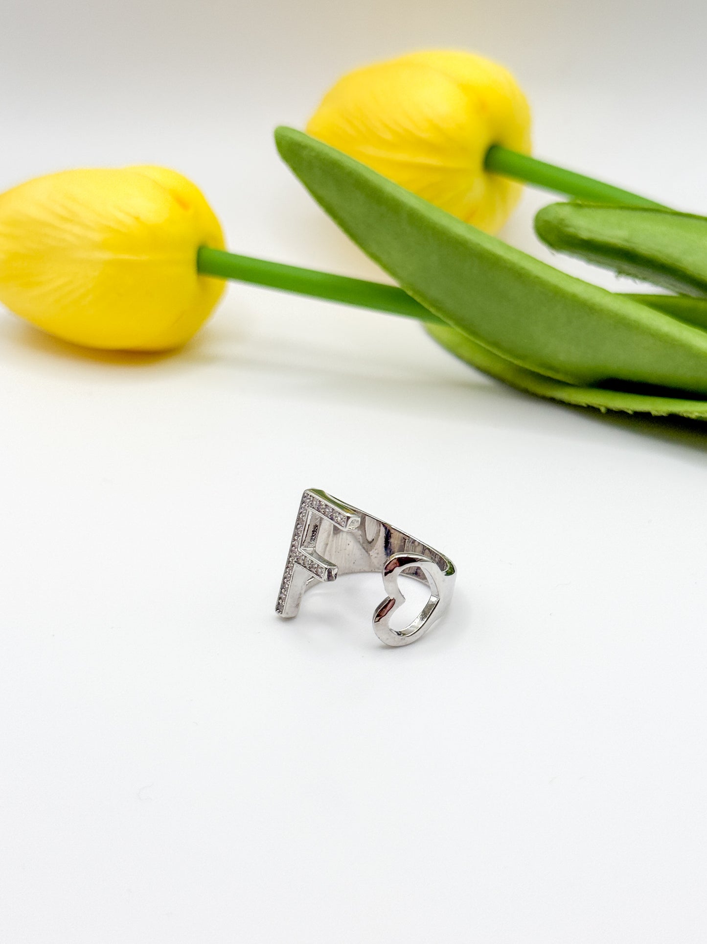 ANELLO INIZIALE
