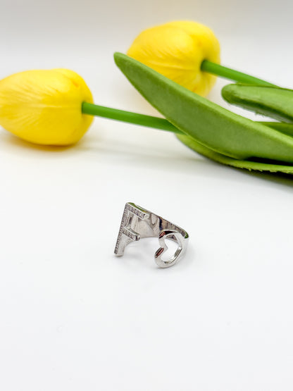ANELLO INIZIALE