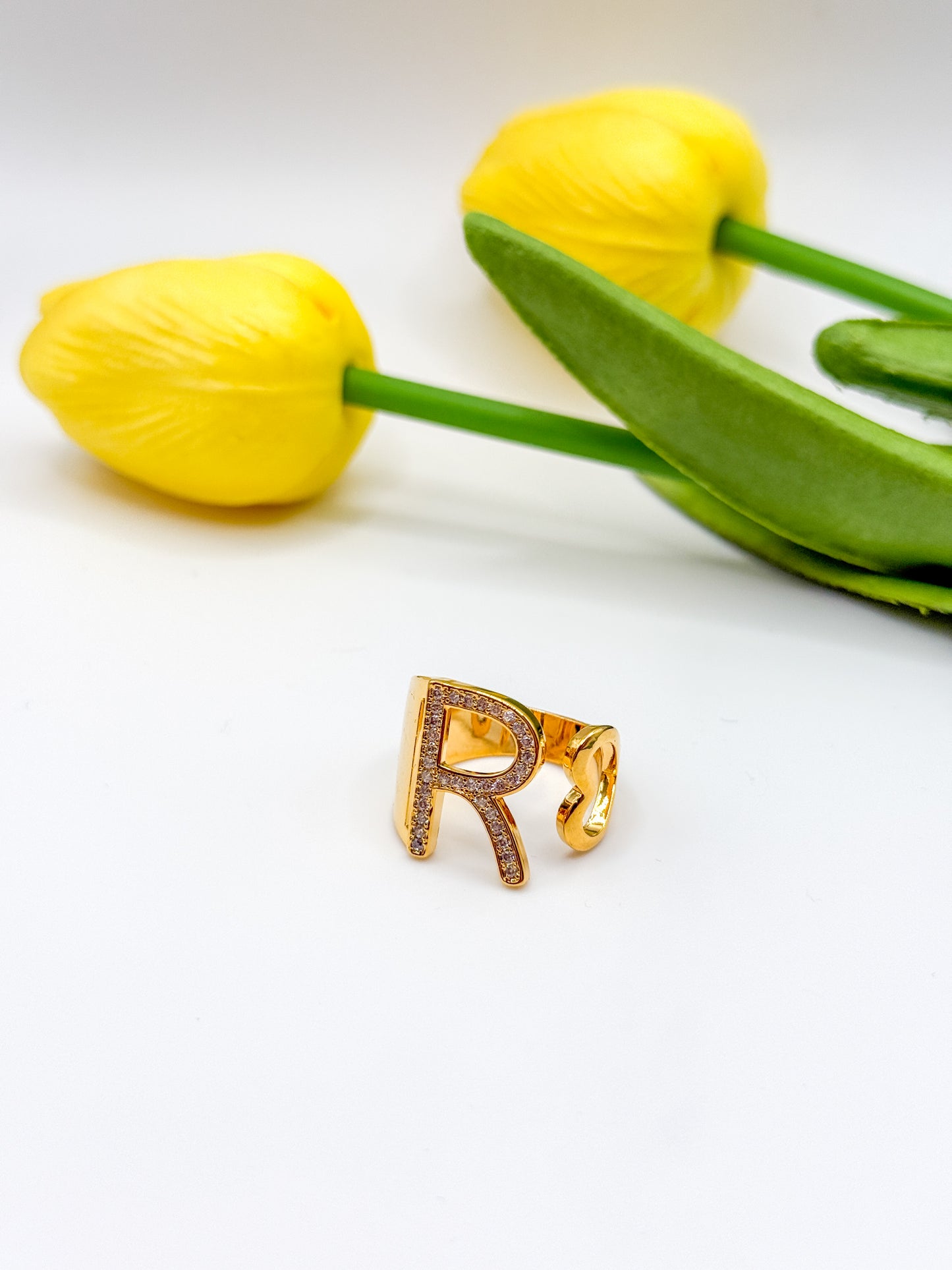 ANELLO INIZIALE