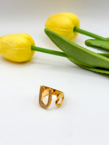 ANELLO INIZIALE