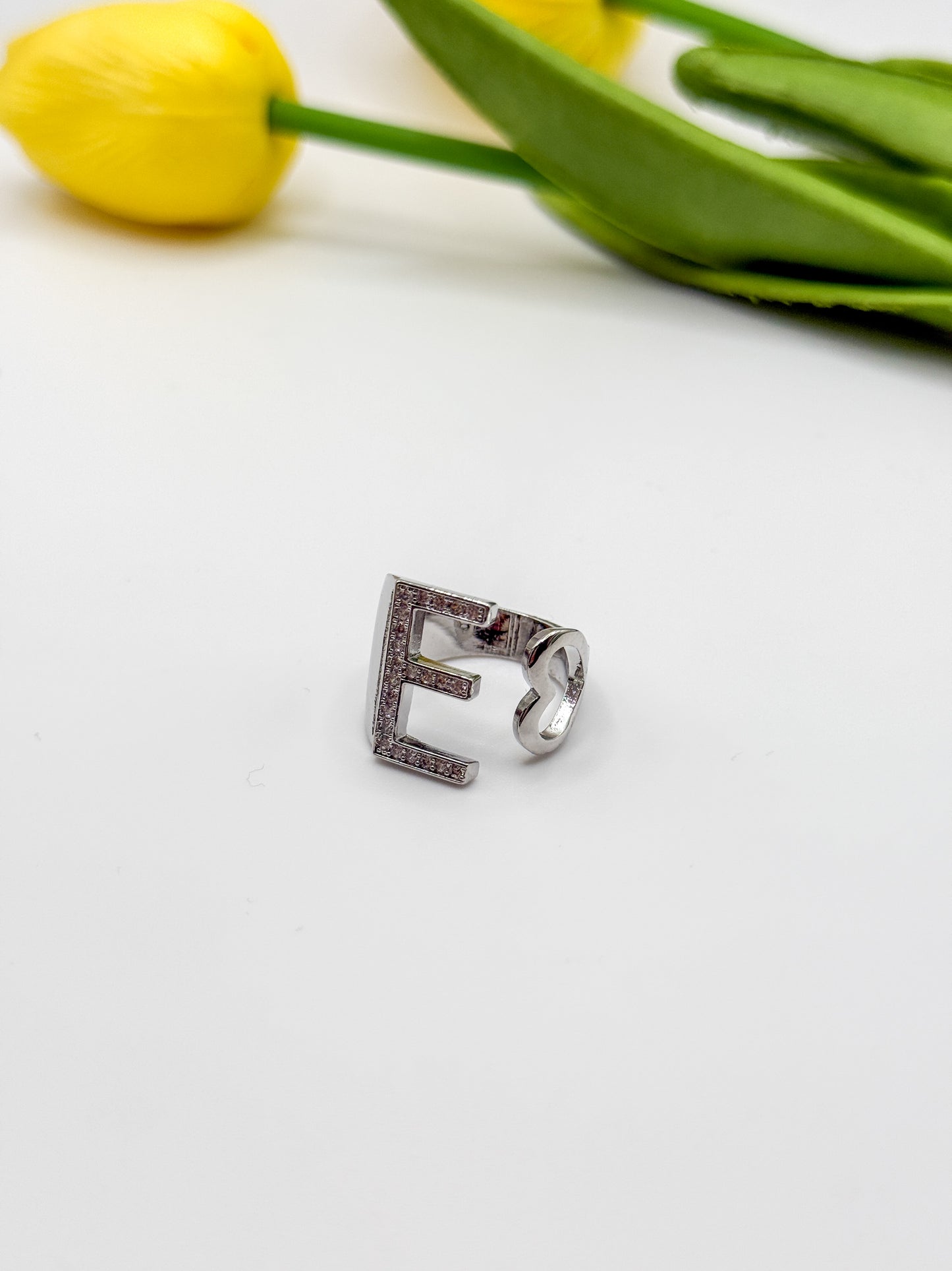ANELLO INIZIALE