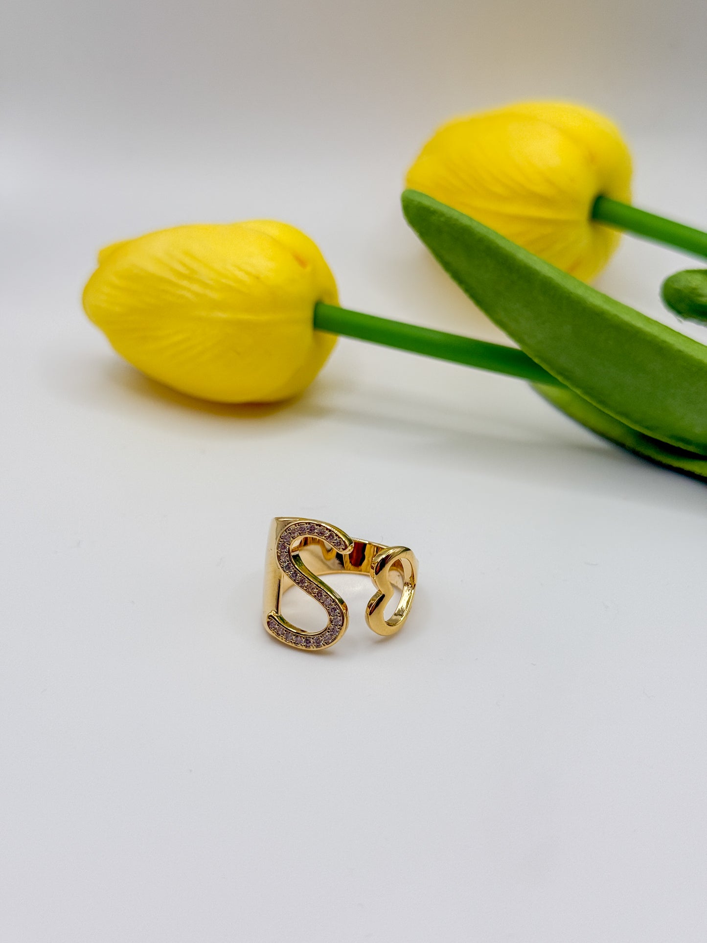 ANELLO INIZIALE