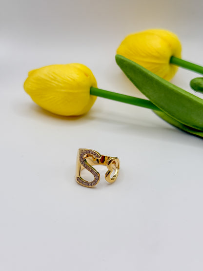 ANELLO INIZIALE