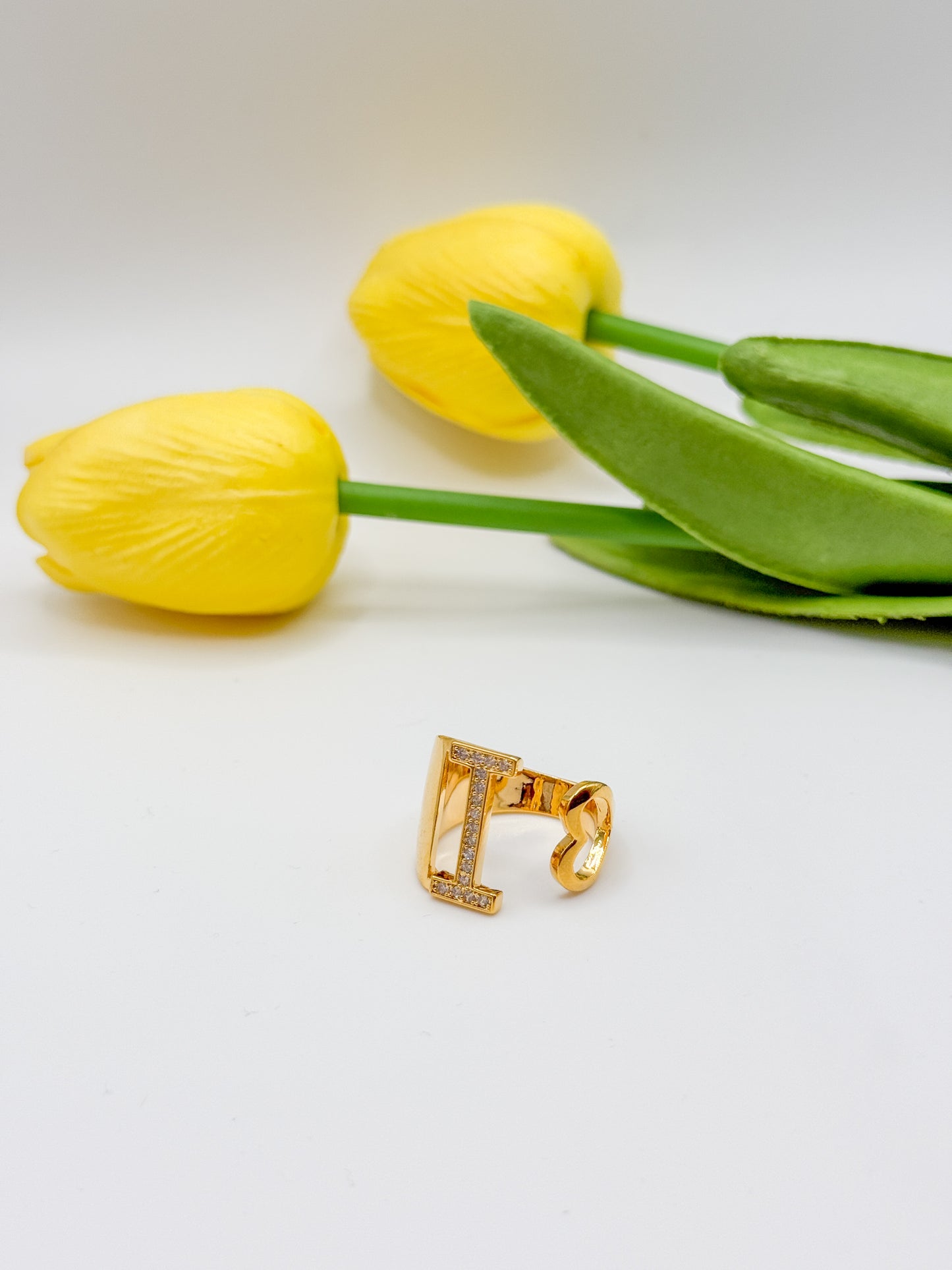 ANELLO INIZIALE