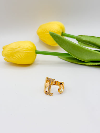 ANELLO INIZIALE
