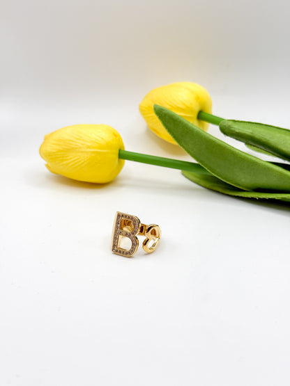 ANELLO INIZIALE