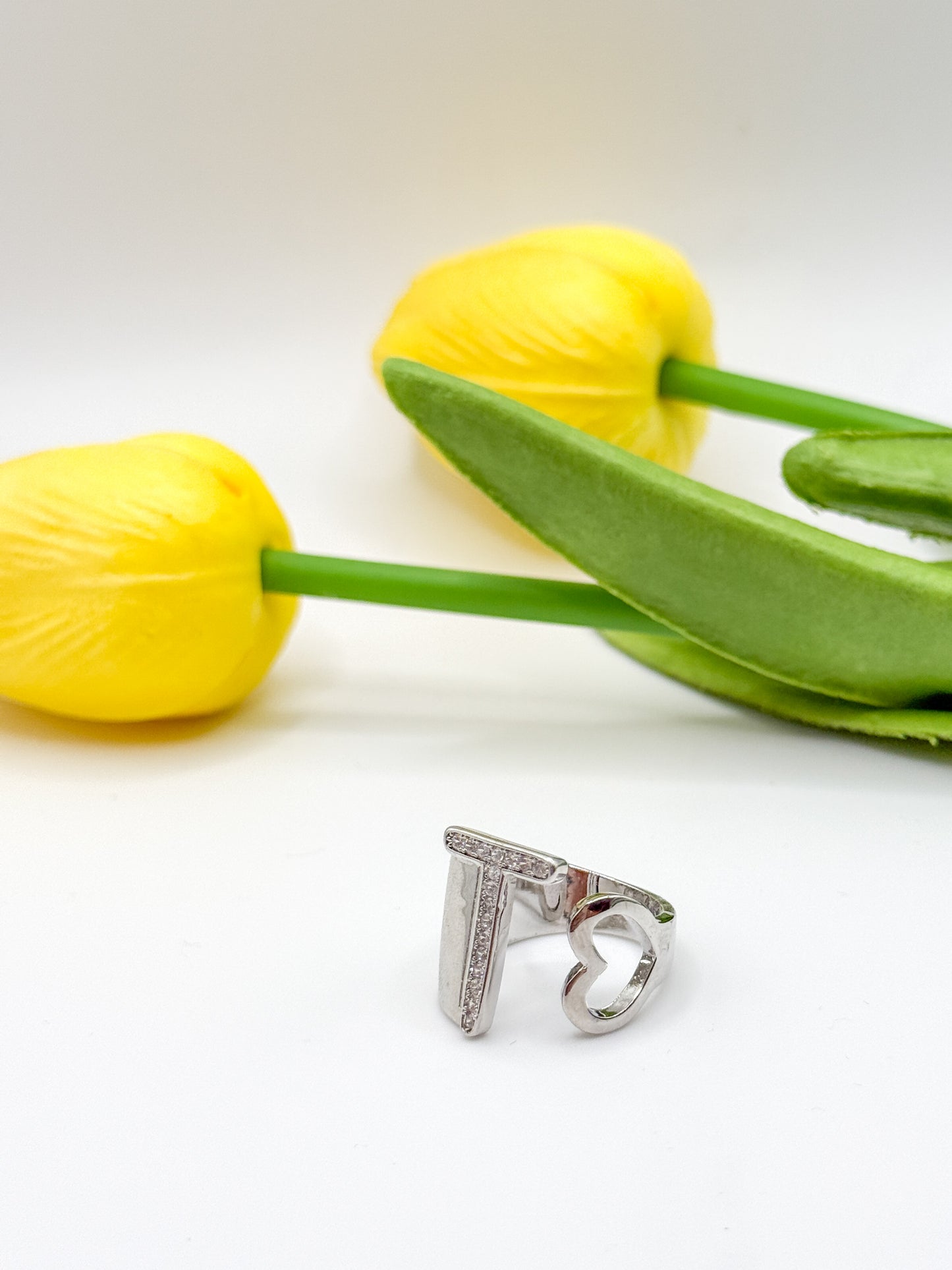 ANELLO INIZIALE